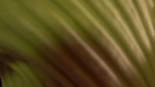 shiningstarrr 2025_08_30 - 6